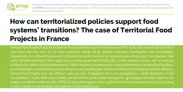 How can territorialized policies support food systems' transitions? The case of Territorial Food Projects in France